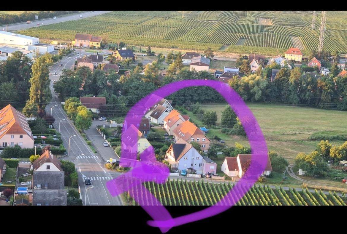Au Petit Logelbach Διαμέρισμα Wintzenheim Εξωτερικό φωτογραφία